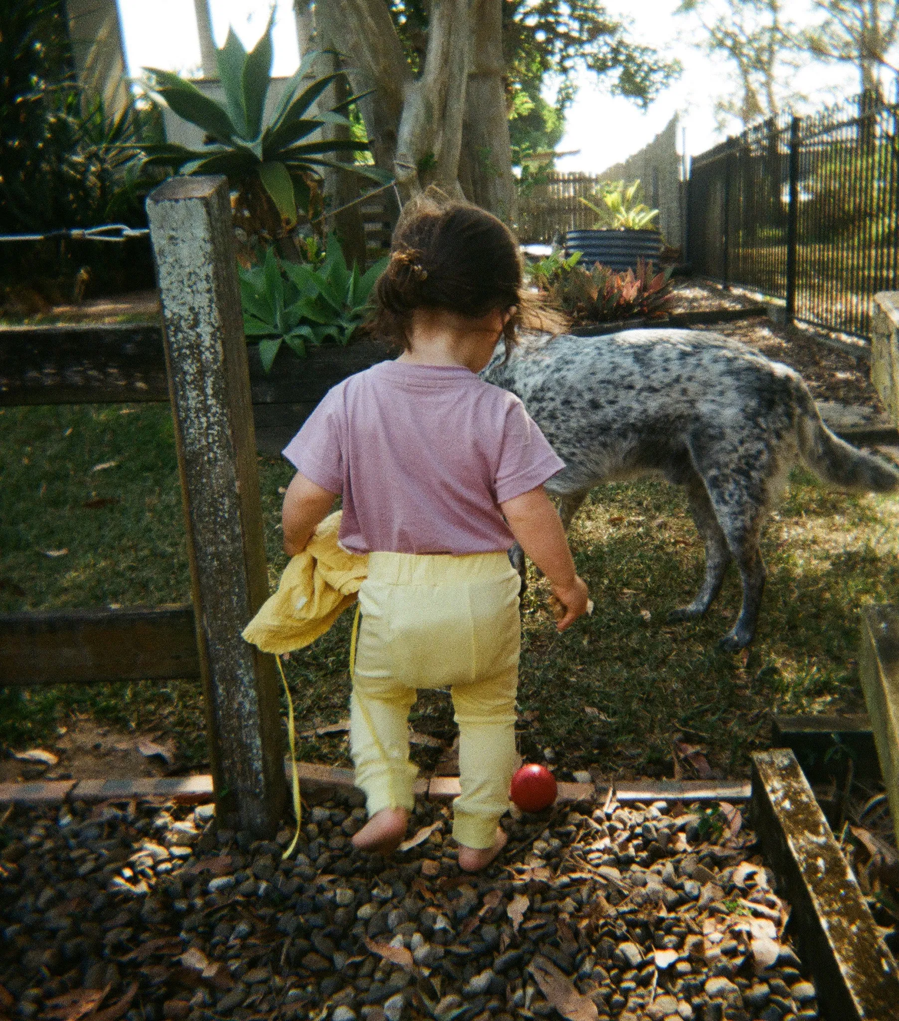 Baby Leggings - Lemon